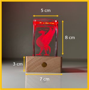 LFC Liver Bird Crystal Display