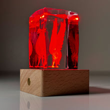 Load image into Gallery viewer, LFC Liver Bird Crystal Display