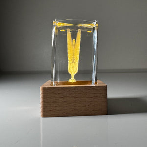 LFC Liver Bird Crystal Display