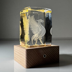 LFC Liver Bird Crystal Display